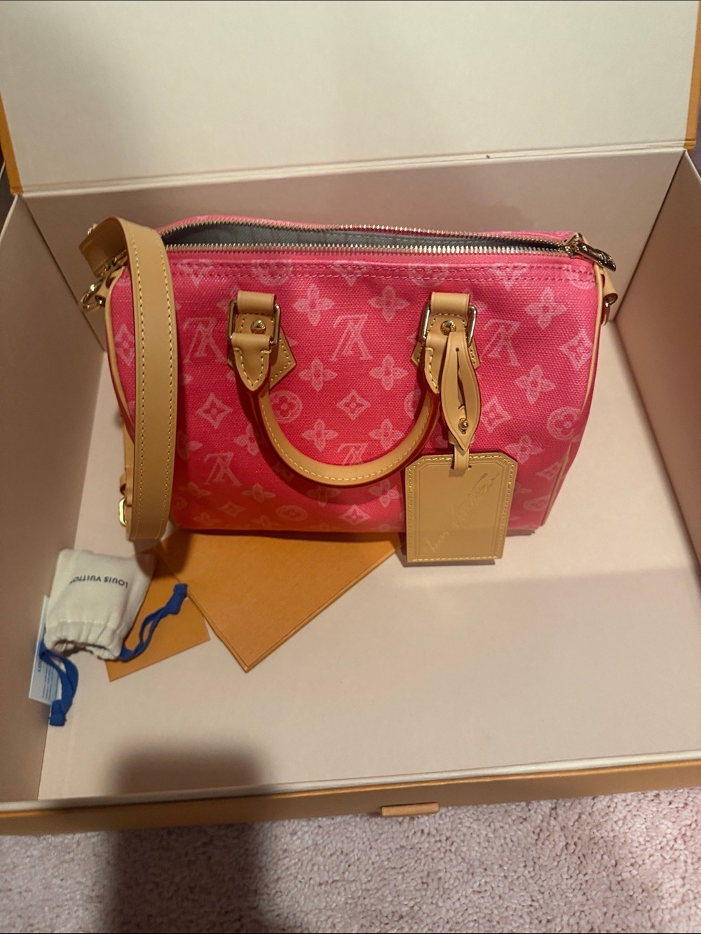 Louis Vuitton Speedy